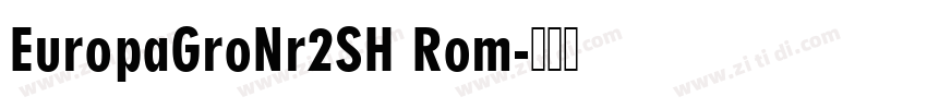 EuropaGroNr2SH Rom字体转换